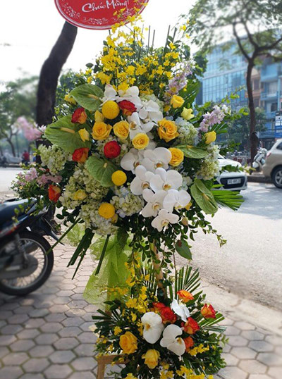 Hoa Chúc Mừng